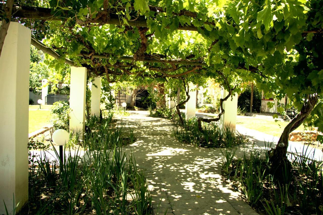 Mont D'Or Swartberg Hotel Prince Albert Exterior photo